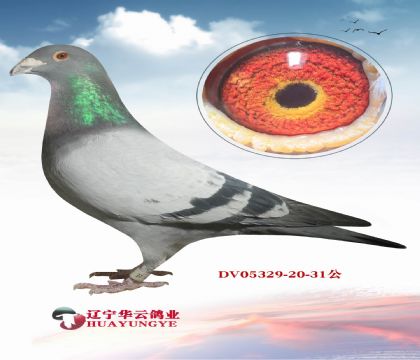 �����Ӵ��� �����򲩹������ظ����ھ� �Ĺظ����ھ�