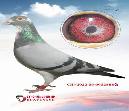 ������ƥ�˻��ض� 006�����ֵ�X��㹫�����10��