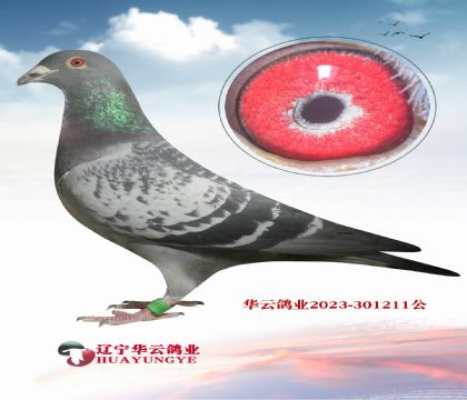 ���������۴ơ�ֱ��X���ʷǳ�֮�ߵĺ�������