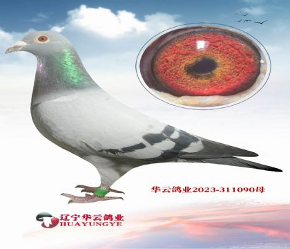 07��Ӣ��˹�ϴ����ֹ�����X��ʱ��911ֱŮ