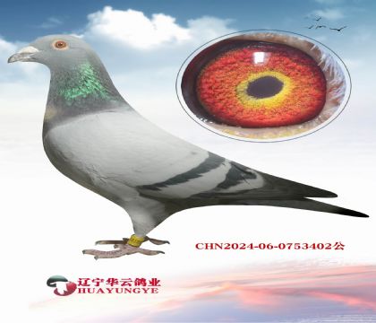 ����������� ������������  �����޵йھ�֮��Ѫ��