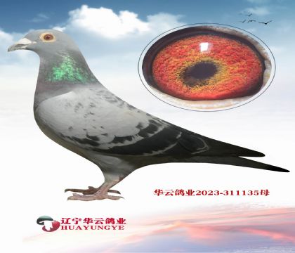 С�ϵϹ�������ؽ����� ���治�ܼ���