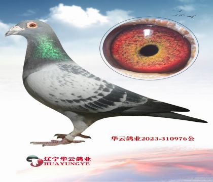 ��������ؽ����� ���治�ܼ���