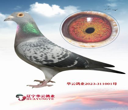 ���ƽ������ߡ�������������X��ĸ733