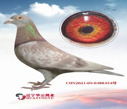 �˸���������깫�����8�� �Ӵ�����7���