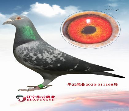 С�Ͽ�ƽ�������� ��������� ������4��