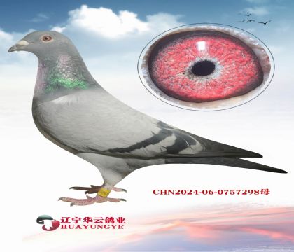 �����������ֹ� X��«����� ǧ��ƽ���� ֱ��Ů