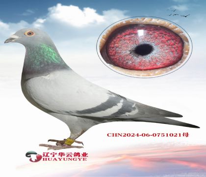 ֮ǰ�Ӳ����۵�ѪϵӢ��˹ ͬ�ѻ�Ѫ