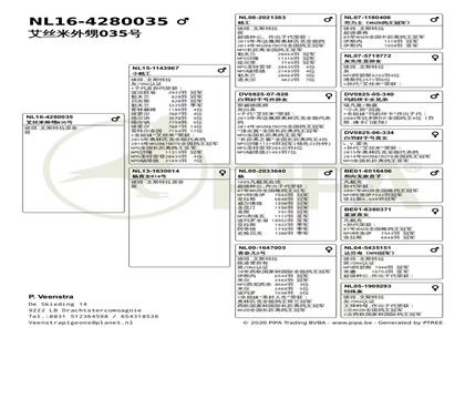 ����Ѫͳ��