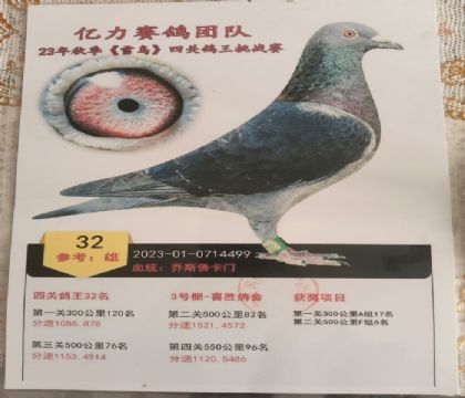 �Ĺظ���32����˹����