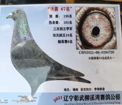 �������67�����ظ�������