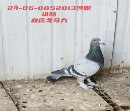 ���������ݻԻ͹������73������