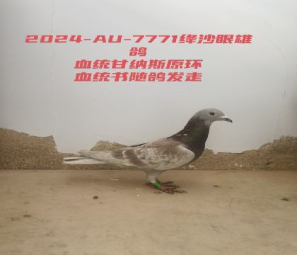 ԭ������˹