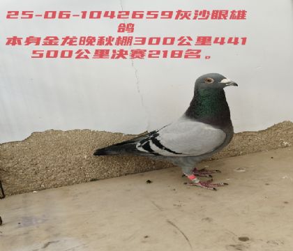 �������������218��