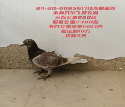 ������Ծ���ٹ���230����ٹ���1497