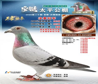 ����̫ƽ�����ھ�