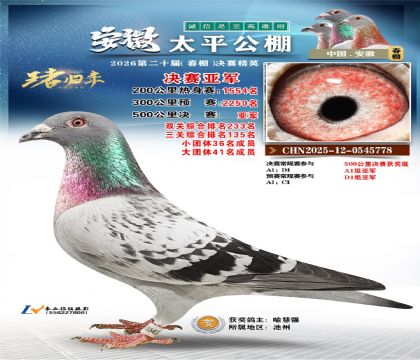 ����̫ƽ�����Ǿ�