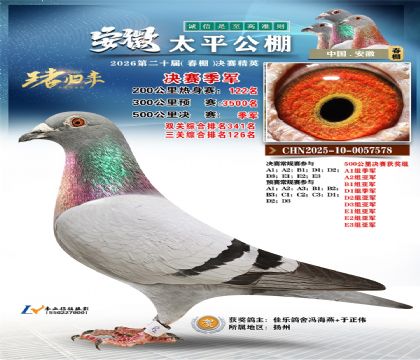 ����̫ƽ��������