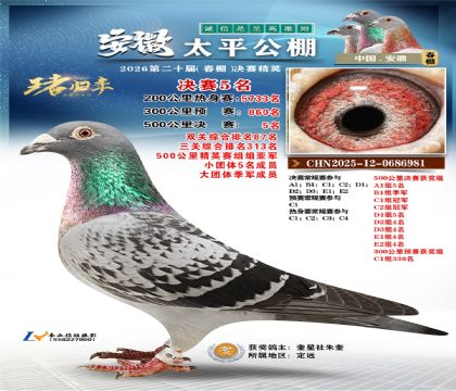 ����̫ƽ����5��