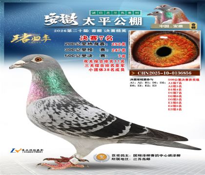 ����̫ƽ����7�������ظ����Ǿ���