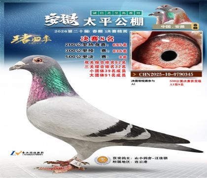 ����̫ƽ����8��