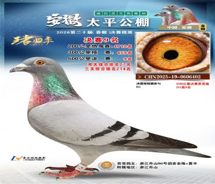 ����̫ƽ����9��