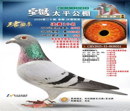 ����̫ƽ����10��