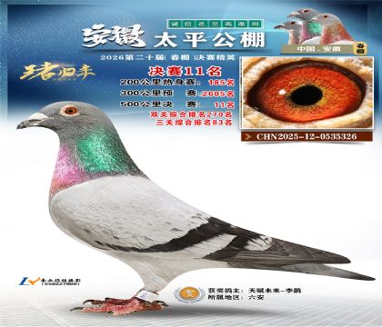 ����̫ƽ����11��