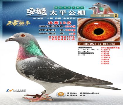 ����̫ƽ����12��