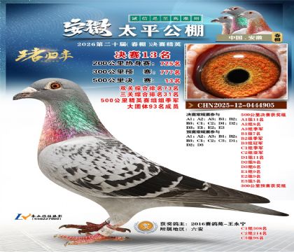 ����̫ƽ����13��