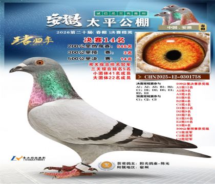 ����̫ƽ����14��