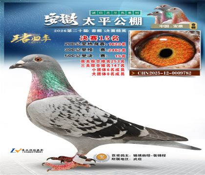 ����̫ƽ����15��