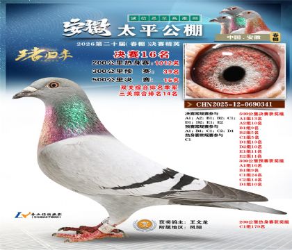 ����̫ƽ����16��