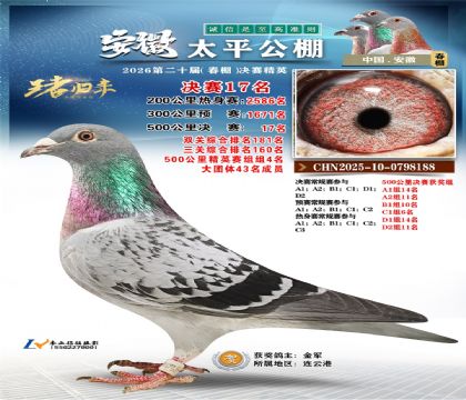 ����̫ƽ����17��