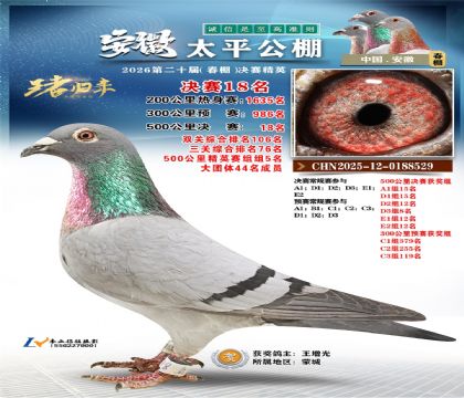 ����̫ƽ����18��