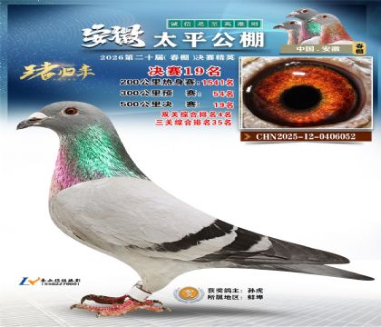 ����̫ƽ����19��