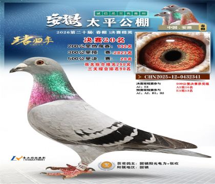 ����̫ƽ����20��