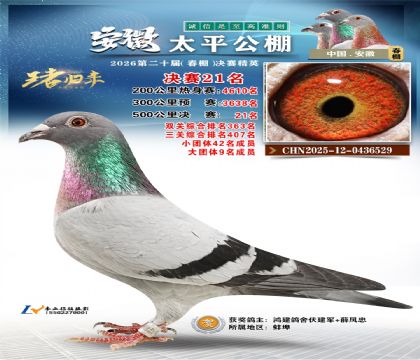 ����̫ƽ����21��