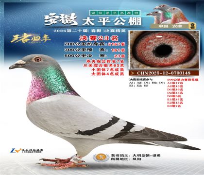 ����̫ƽ����23��