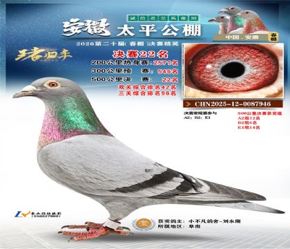 ����̫ƽ����22��