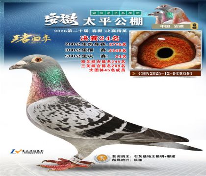 ����̫ƽ����24��