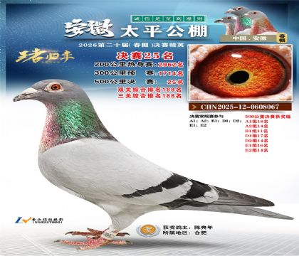 ����̫ƽ����25��