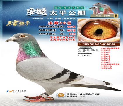 ����̫ƽ����26��