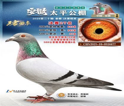 ����̫ƽ����27��