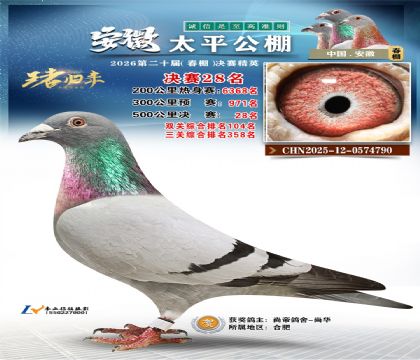 ����̫ƽ����28��