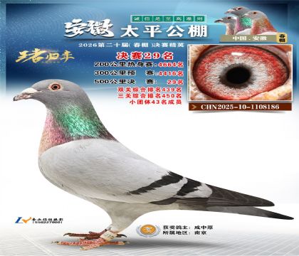 ����̫ƽ����29��