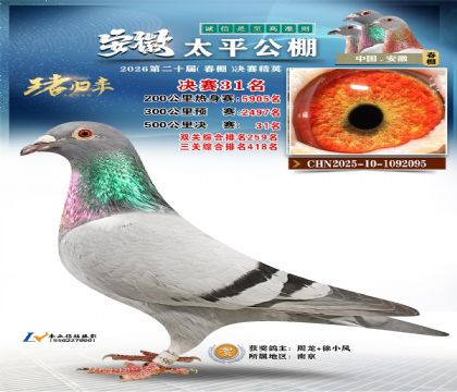 ����̫ƽ����31��