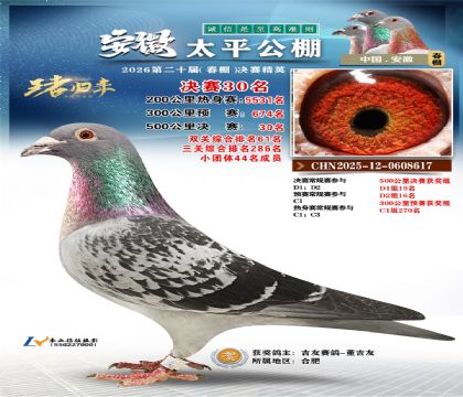 ����̫ƽ����30��