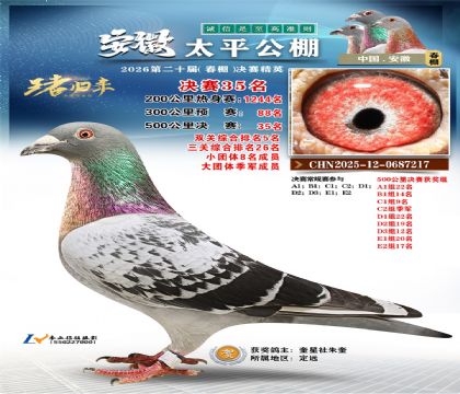 ����̫ƽ����35��