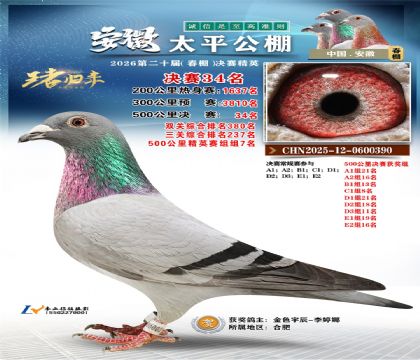 ����̫ƽ����34��